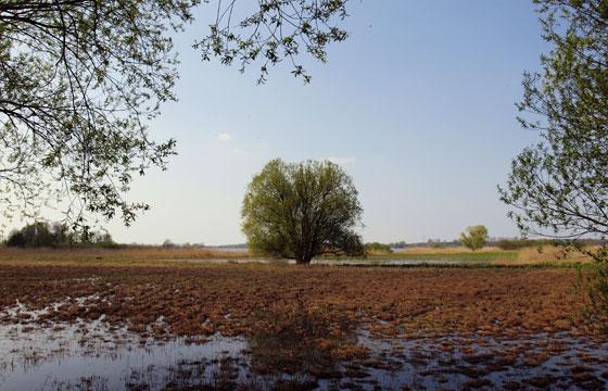 Naturpark Westhavelland